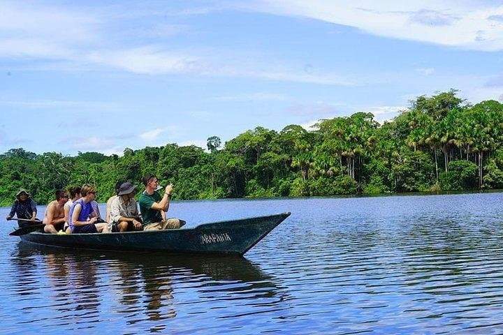 4-Day Tambopata Amazon Lodge: Macaws, Clay Licks & Lake Sandoval Wildlife photo 6