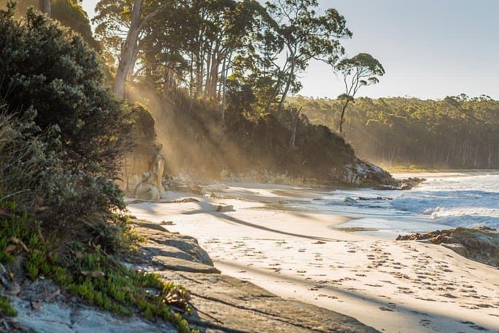 2-Day Bruny Island & Port Arthur Highlights Tour from Hobart photo 4