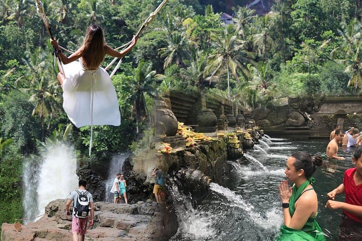 Best of Ubud in a Day: Jungle Swing, Rice Terraces & Sacred Springs photo 1
