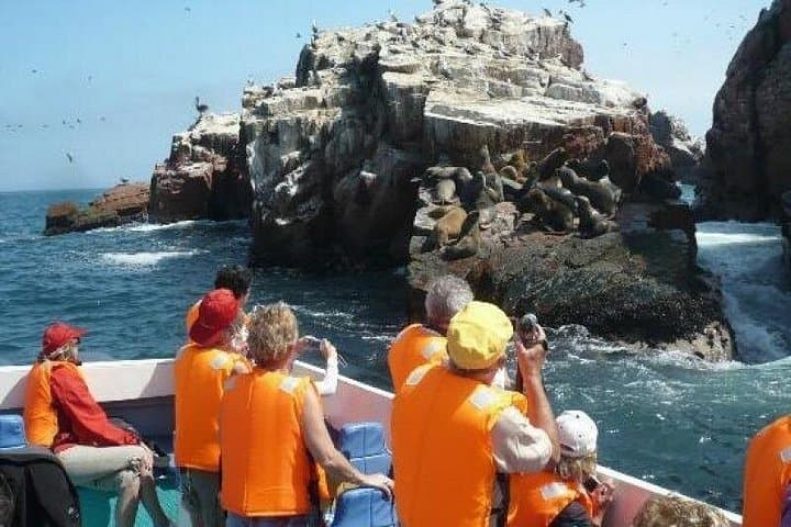 Paracas Full Day: Ballestas Islands & El Candelabro Boat Tour photo 1