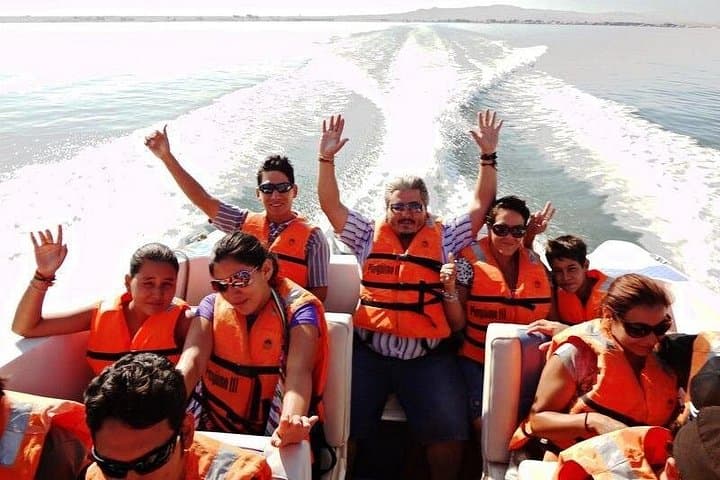 Paracas Full Day: Ballestas Islands & El Candelabro Boat Tour photo 2