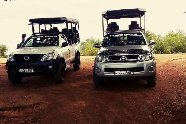 Udawalawa Half-Day Jeep Safari — Elephant Encounters & Wetland Wildlife photo 6