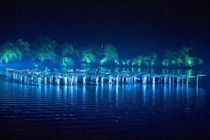Impression West Lake VIP: Evening Cultural Spectacle on Hangzhou’s West Lake photo 4