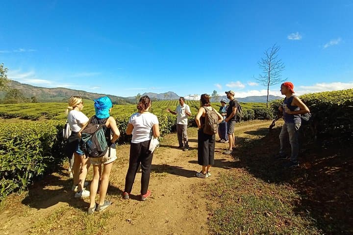 Munnar Mountain Trekking — Letchmi Hills Tea-Garden Trek (6 hr) photo 5
