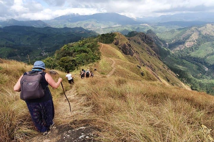 Munnar Mountain Trekking — Letchmi Hills Tea-Garden Trek (6 hr) photo 2