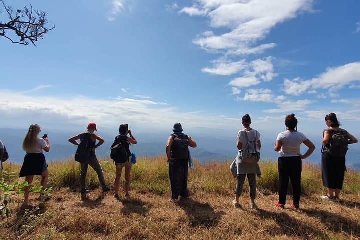 Munnar Mountain Trekking — Letchmi Hills Tea-Garden Trek (6 hr) photo 3
