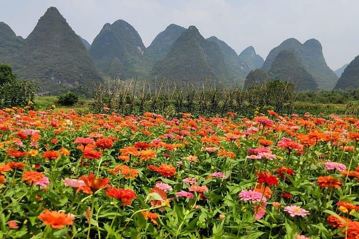 4-Day Yangshuo and Guilin Private Tour — Li River Bamboo Rafting, Silver Cave & Xianggong Hill photo 3
