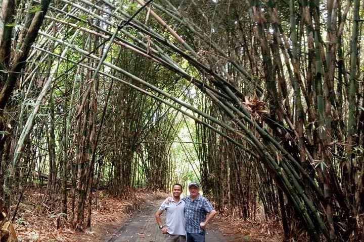 Customized Tours of Bali: Ubud Temples, Rice Terraces & Waterfalls photo 4