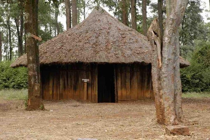 Half-Day Nairobi Tour: Giraffe Centre, Kazuri Beads & Karen Blixen Museum photo 6