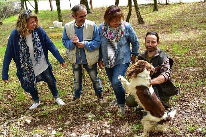 Truffle Hunt and Organic Lunch Near Assisi: Foraging the Black Diamonds of Umbria photo 2