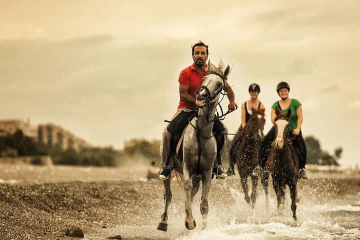 Saddle Up from Kusadasi Port: Coastal Horseback Safari through Olive Groves & Beaches photo 4