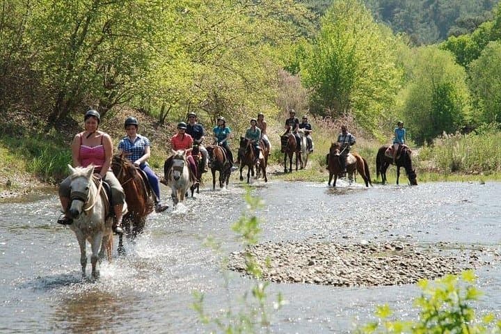 Kusadasi Horse Safari: Beach and Forest Horseback Riding Near Ephesus