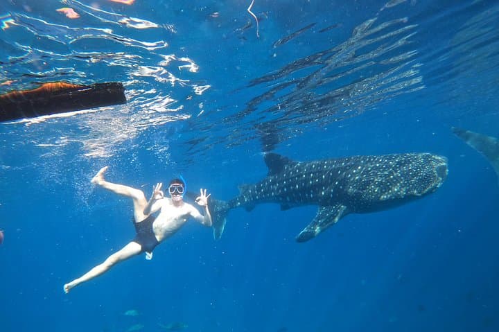 Cebu Whale Sharks, Sumilon Whitesand & Kawasan Falls Day Trip photo 2