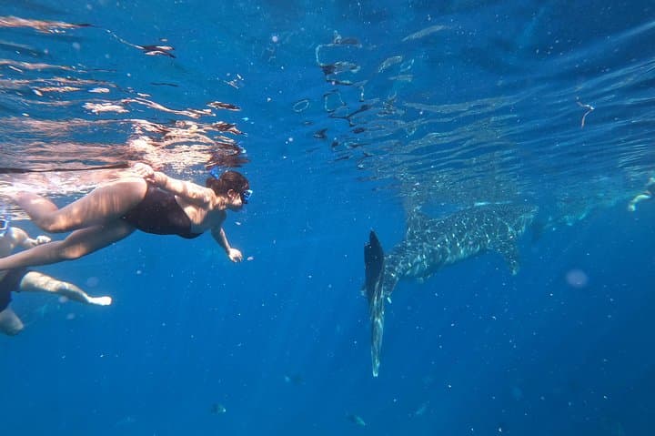Swim with Whale Sharks in Oslob — Sumilon Island & Tumalog Falls Day Trip photo 5