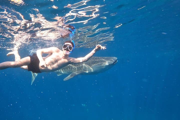 Swim with Whale Sharks in Oslob — Sumilon Island & Tumalog Falls Day Trip photo 3