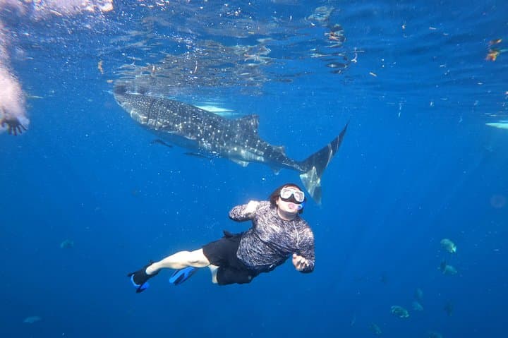 Cebu Whale Sharks, Sumilon Whitesand & Kawasan Falls Day Trip