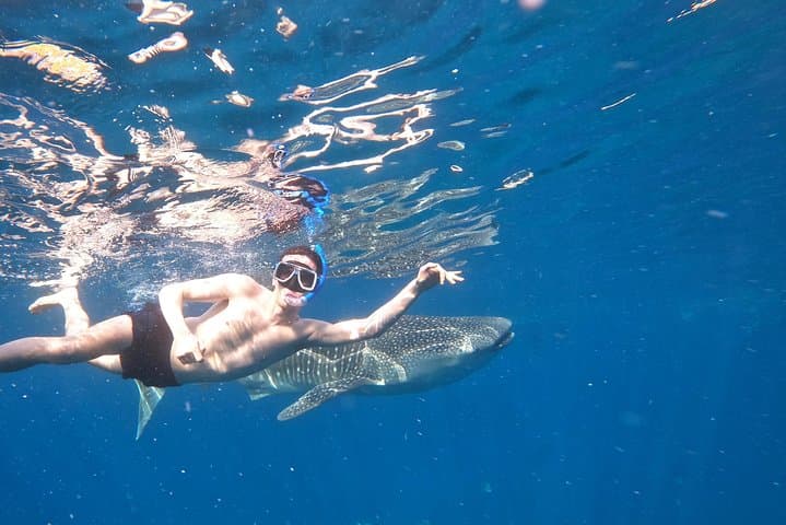 Cebu Whale Sharks, Sumilon Whitesand & Kawasan Falls Day Trip photo 3