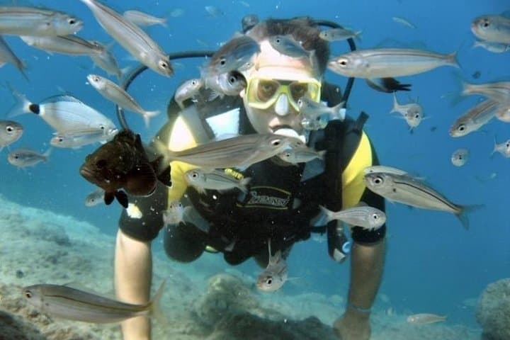 Discover Scuba Diving from Kusadasi Port: Introductory Aegean Dive photo 5