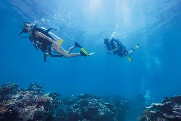 Discover Scuba Diving from Kusadasi Port: Introductory Aegean Dive photo 6