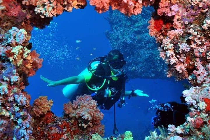 Discover Scuba Diving from Kusadasi Port: Introductory Aegean Dive photo 4