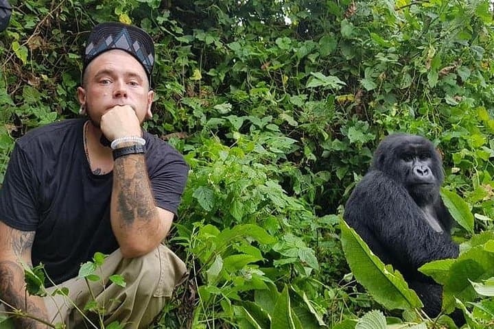 3-Day Uganda Gorilla Trekking Safari: Bwindi Gorillas & Lake Bunyonyi photo 1