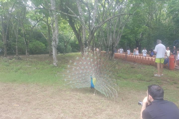 Prison Island Snorkel & Giant Tortoise Tour — Stone Town Day Trip photo 2