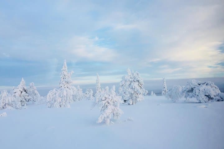 Four-Day Lapland Group Adventure: Husky Safaris, Snowmobiles & Arctic Circle photo 4