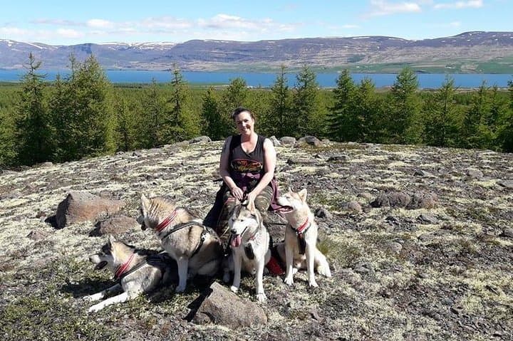 Hiking with Huskies Around Akureyri: Private 2-Hour Countryside Walk photo 5