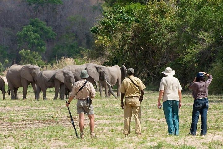 Selous Game Reserve 4-Day Safari: Boat, Walks & Game Drives in Tanzania