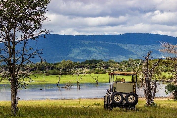 Selous Game Reserve 4-Day Safari: Boat, Walks & Game Drives in Tanzania photo 3