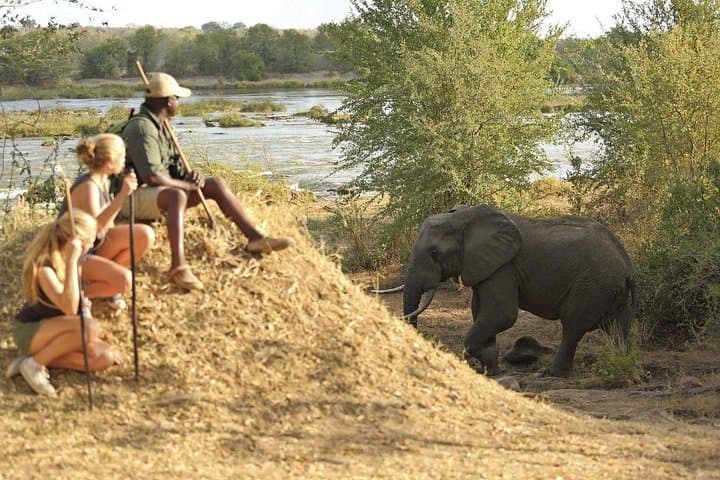 Selous Game Reserve 4-Day Safari: Boat, Walks & Game Drives in Tanzania photo 4