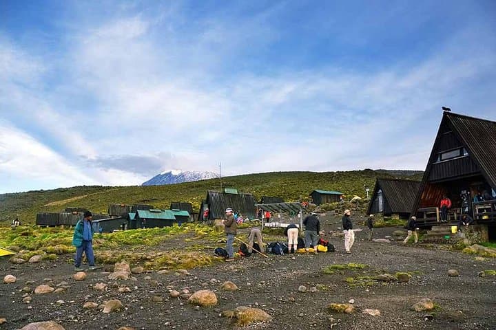 5-Day Marangu Route Kilimanjaro Trek: Mandara to Uhuru Peak photo 4