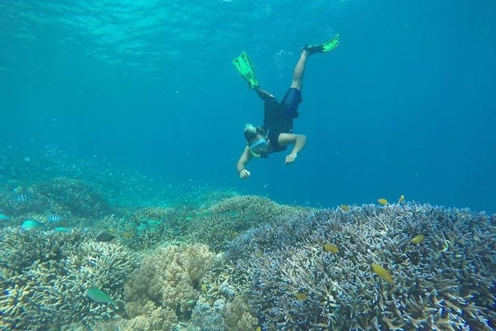 Private Snorkeling Gili Islands: Coral Gardens, Underwater Statues & Turtle Encounters photo 2