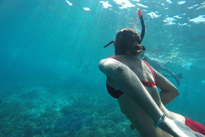 Private Snorkeling Gili Islands: Coral Gardens, Underwater Statues & Turtle Encounters photo 5