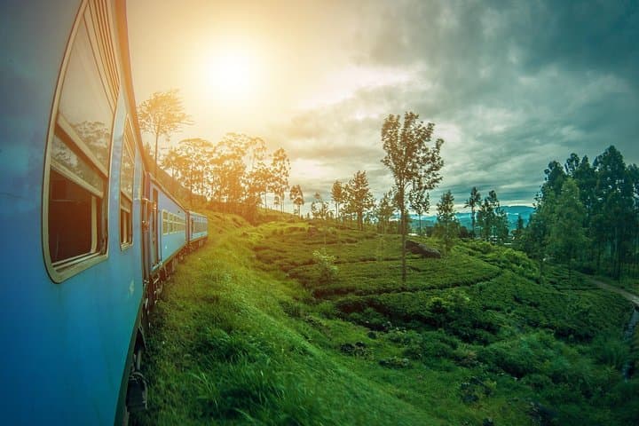 10-Day Sri Lanka Tour from Colombo: Serendib Highlights — Culture, Highlands & Wildlife photo 6