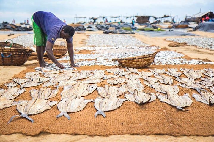 Negombo Private Driver Day Tour — Fish Market, Dutch Fort & Temples photo 2
