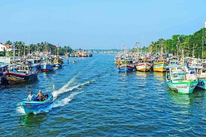 Negombo Private Driver Day Tour — Fish Market, Dutch Fort & Temples