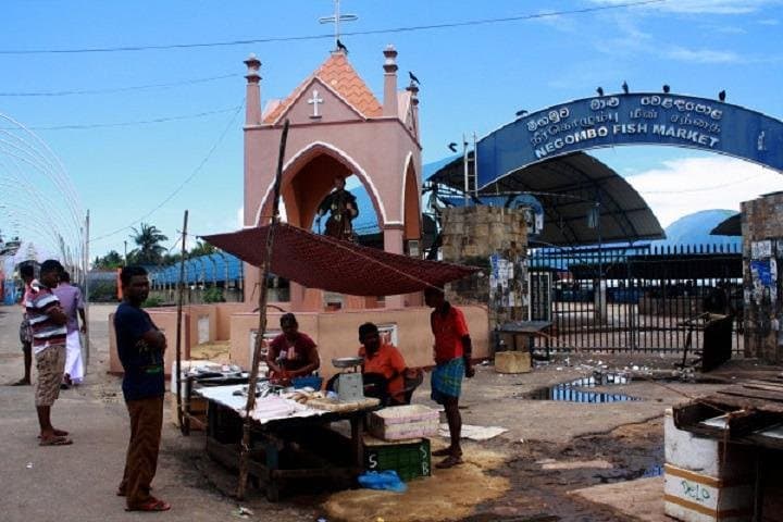 Negombo Private Driver Day Tour — Fish Market, Dutch Fort & Temples photo 3