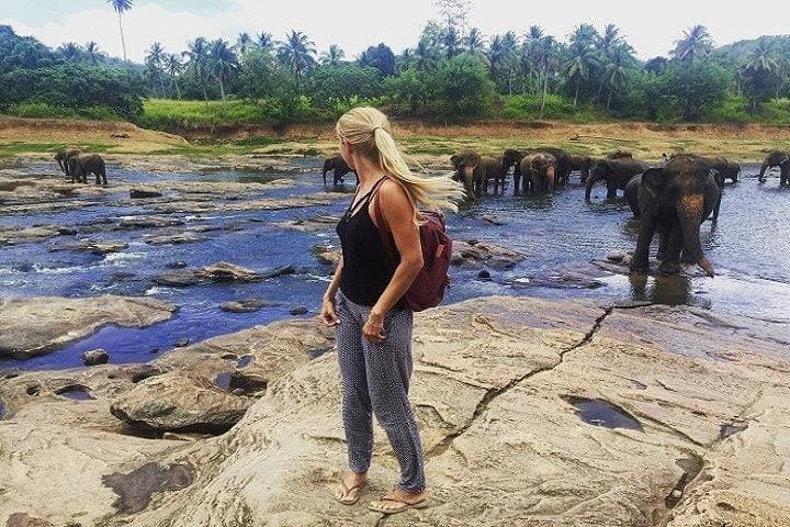 Negombo Private Driver Day Tour — Fish Market, Dutch Fort & Temples photo 4