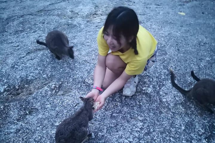 Full-Day Atherton Tablelands: Lake Barrine, Historic Village Herberton & Granite Gorge Wallabies photo 3