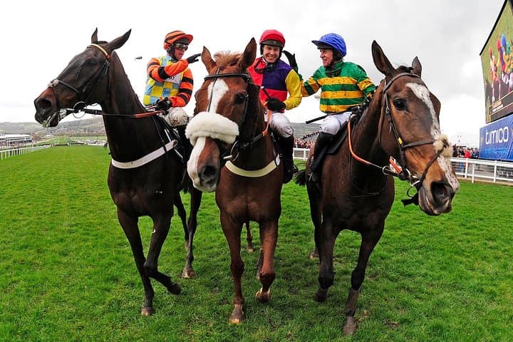 Dublin Horse Lovers Tour: Irish National Stud & Day at the Races photo 1