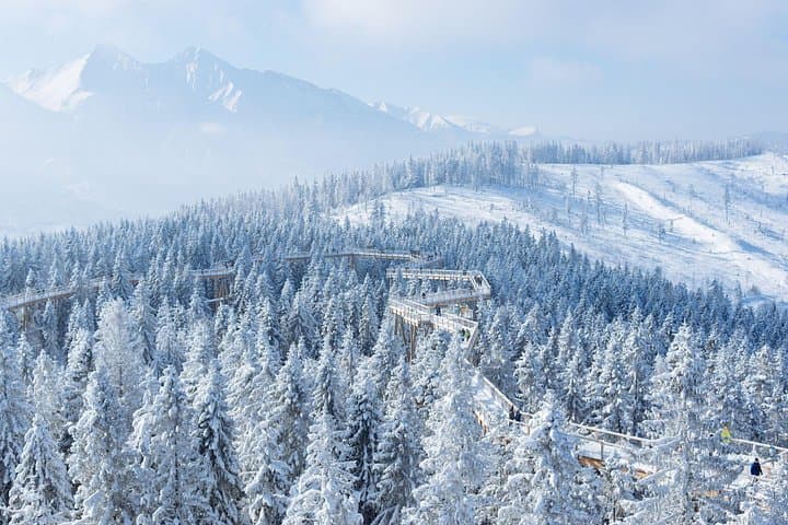 Kraków to Bachledka: Treetop Walk and 4-Hour Ski in the Slovak Tatras