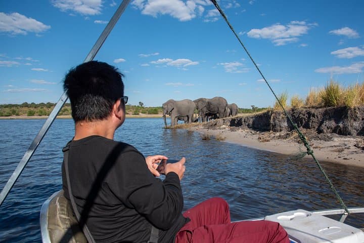 Chobe Day Trip: Elephant Cruises and Big Cat Safaris from Victoria Falls photo 4
