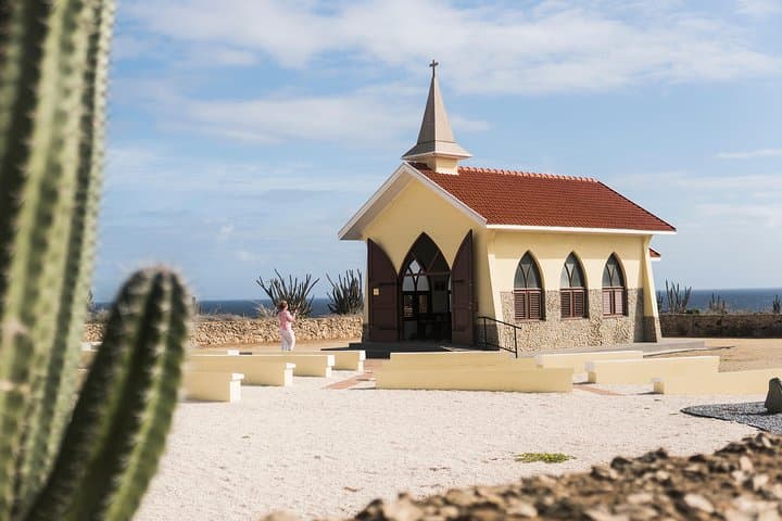 Highlights of Aruba Island Tour: Ostriches, Aloe & Historic Coastline photo 4