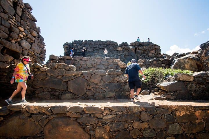 Highlights of Aruba Island Tour: Ostriches, Aloe & Historic Coastline photo 3