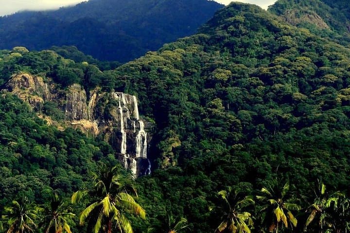 Three-Day Safari: Udzungwa, Kilombero & Mikumi — Hikes, Canoes and Classic Game Drives