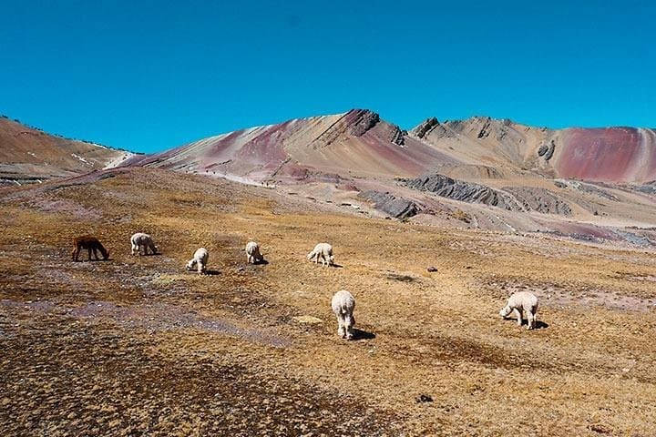 Humantay Lagoon Day Hike from Cusco — Salkantay Peaks & High-Altitude Trails photo 6