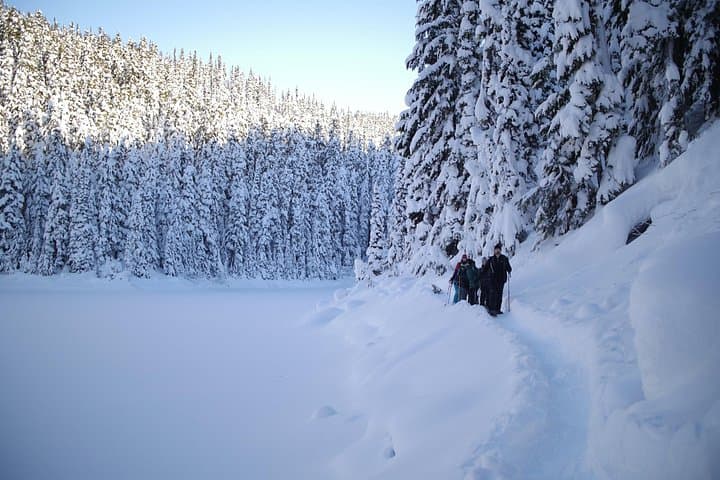 Coast Mountain Backcountry Snowshoe Tours from Whistler — Powder, Cedars & Ridge Views photo 2