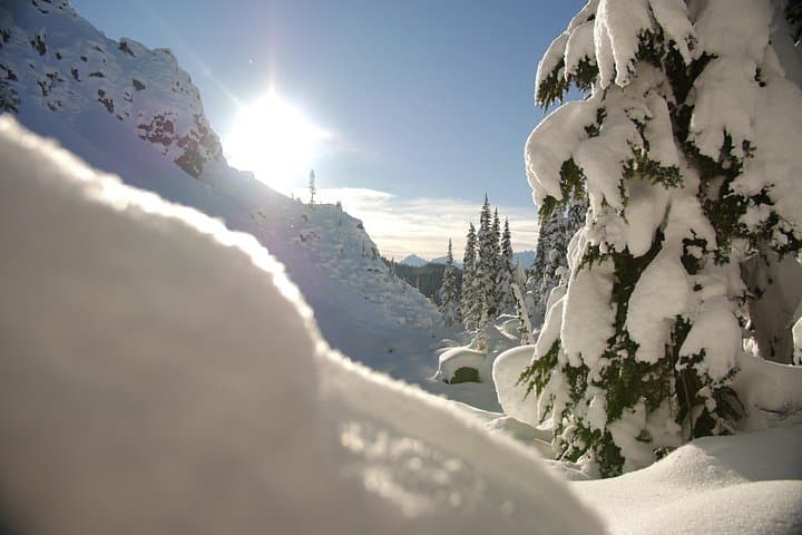 Coast Mountain Backcountry Snowshoe Tours from Whistler — Powder, Cedars & Ridge Views photo 3