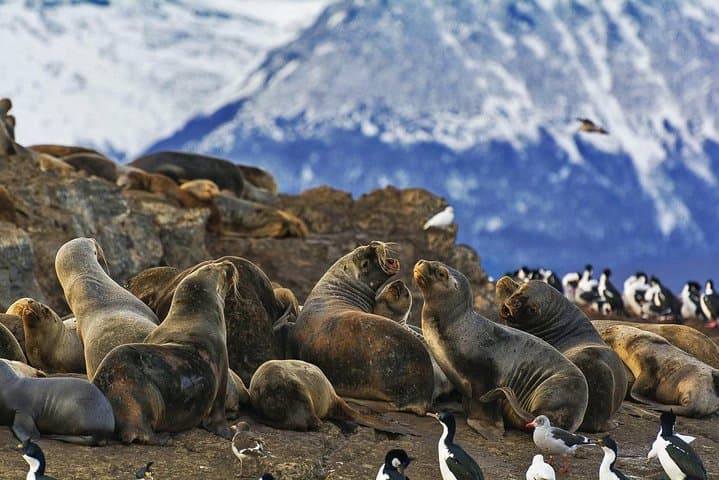 Ushuaia in 3 Days: Beagle Channel, Tierra del Fuego & Prison Museum photo 3
